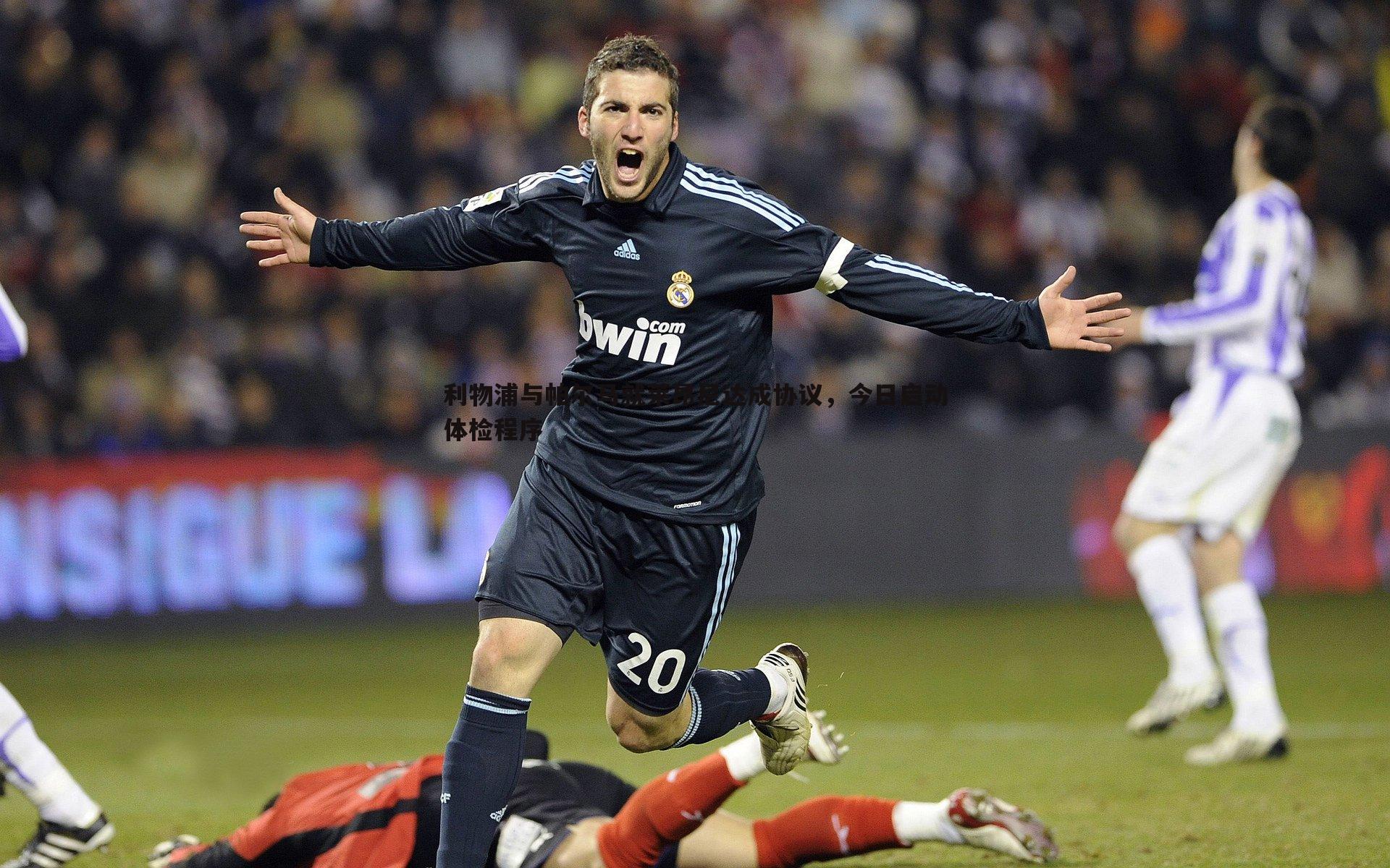 利物浦与帕尔马就莱昂尼达成协议,今日启动体检程序